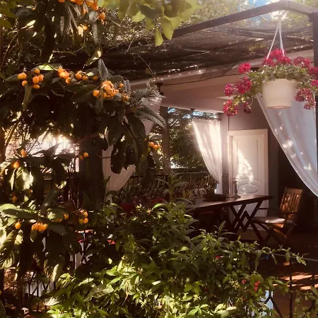 Bed and Breakfast Sakiz Kizi Butik Çeşme
